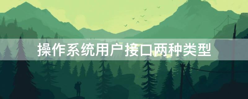 操作系统用户接口两种类型 所有操作系统通常提供两种用户接口是什么