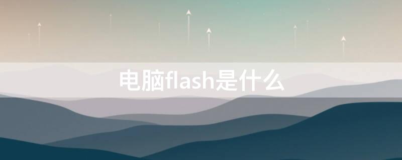 电脑flash是什么（电脑flash是什么软件）