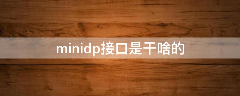 minidp接口是干啥的（minidp接口）