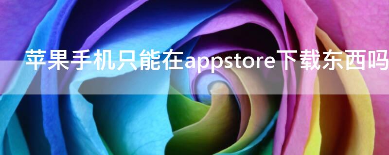 iPhone手机只能在appstore下载东西吗 苹果手机只能在appstore下载东西吗