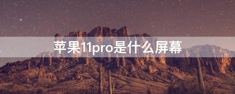 iPhone11pro是什么屏幕 iPhone 11 Pro是什么屏幕