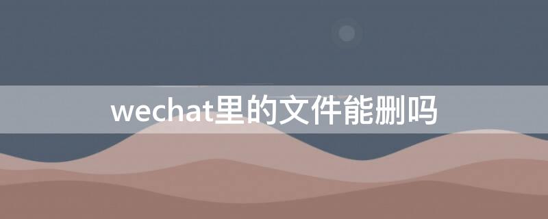 wechat里的文件能删吗