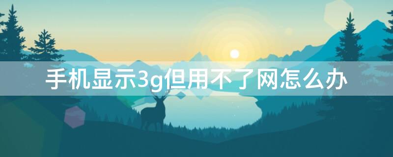 手机显示3g但用不了网怎么办 手机显示3g上不了网