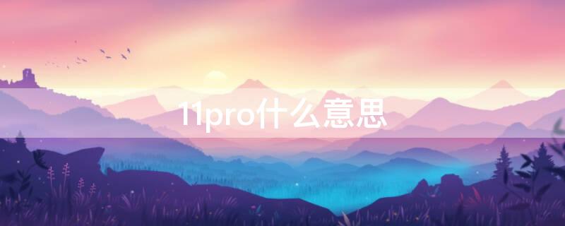 11pro什么意思（12pro是什么意思）