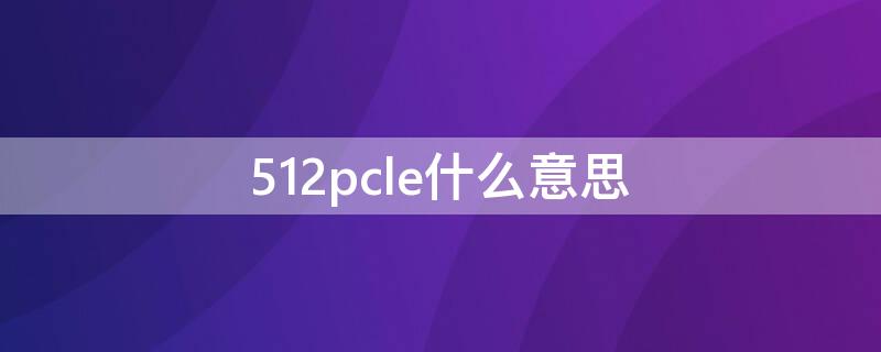 512pcle什么意思（512pclessd是什么意思）