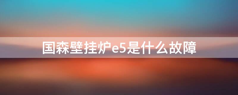 国森壁挂炉e5是什么故障 国森壁挂炉故障E5