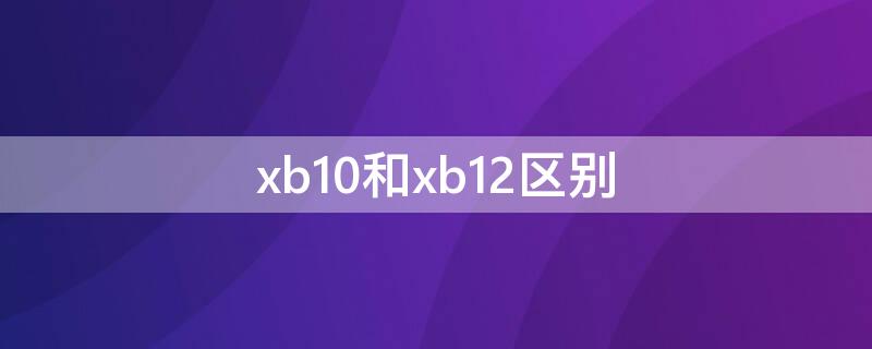 xb10和xb12区别（xb01和xb10）