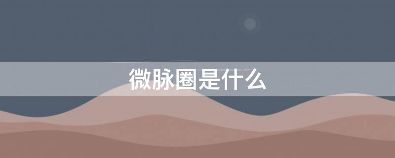 微脉圈是什么（微脉圈是什么公司开发的）