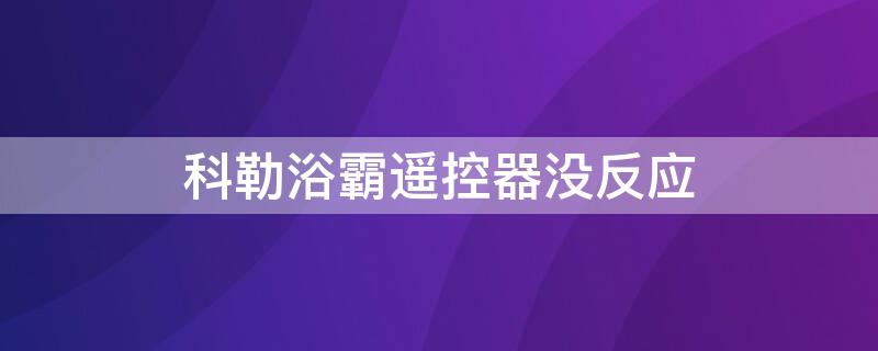 科勒浴霸遥控器没反应（科勒浴霸故障）