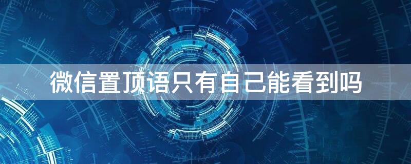 微信置顶语只有自己能看到吗 微信置顶语是不是只有自己可见