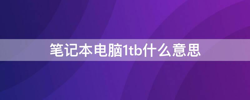 笔记本电脑1tb什么意思