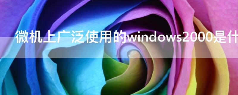 微机上广泛使用的windows2000是什么