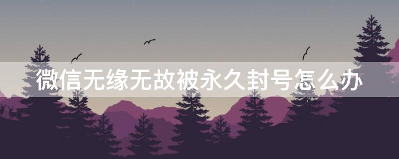 微信无缘无故被永久封号怎么办