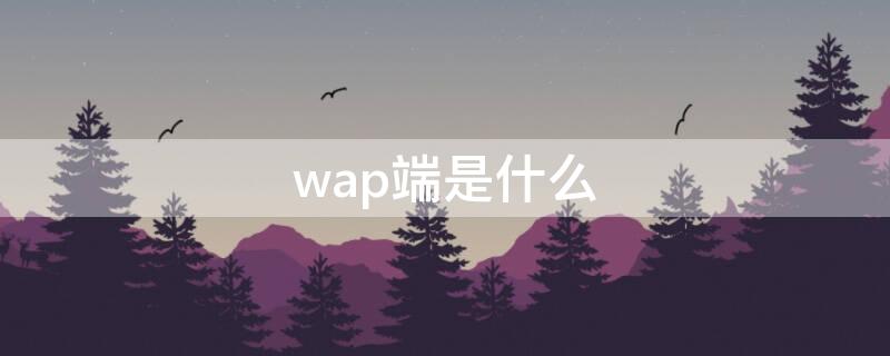 wap端是什么 wap端和pc端是什么