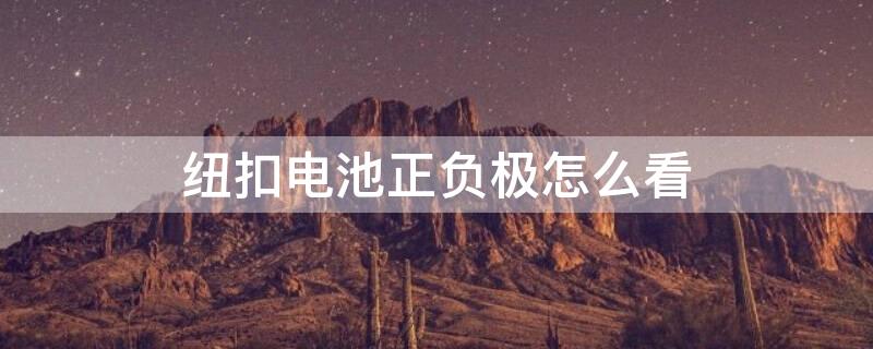 纽扣电池正负极怎么看 纽扣电池怎么看正反