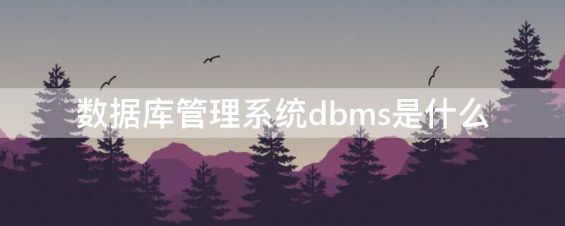 数据库管理系统dbms是什么