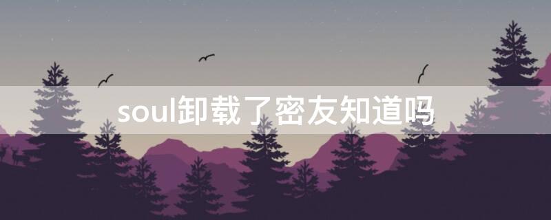 soul卸载了密友知道吗（soul如何解除密友）