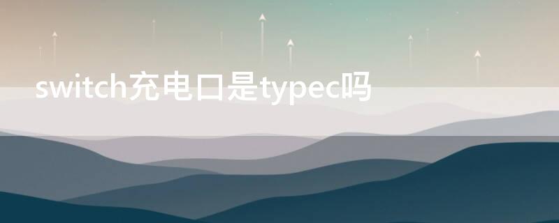 switch充电口是typec吗（switch充电口是什么接口）