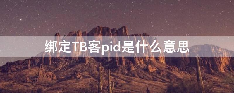 绑定TB客pid是什么意思（大淘客绑定pid是什么意思）