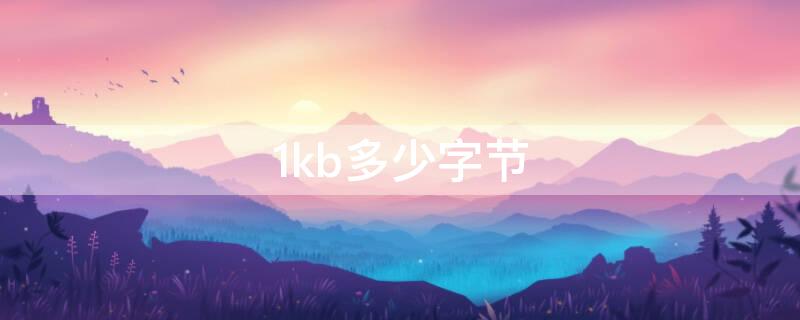 1kb多少字节 1kb多少字节多少位