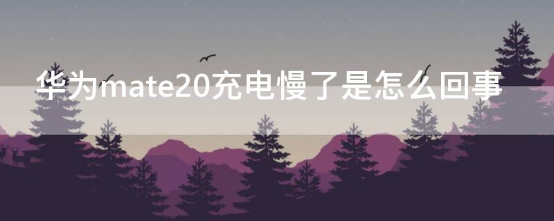 华为mate20充电慢了是怎么回事（mate20充电变慢了）