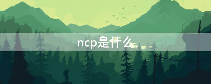 ncp是什么（ncp是什么牌子的屏幕）