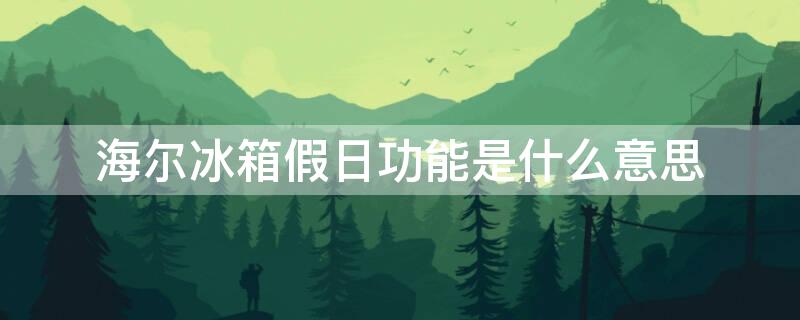 海尔冰箱假日功能是什么意思 海尔冰箱的假日功能