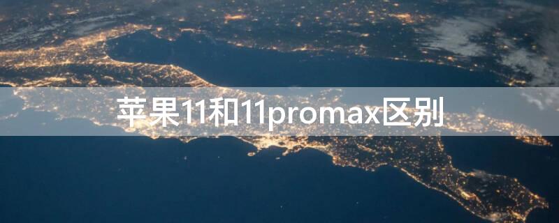 iPhone11和11promax区别（iphone11与11promax区别）