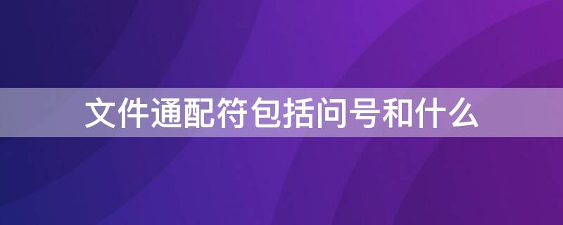 文件通配符包括问号和什么