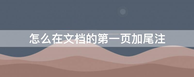 怎么在文档的第一页加尾注（如何在页尾添加注释）