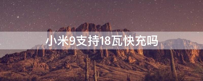 小米9支持18瓦快充吗（小米9支持18w快充吗）