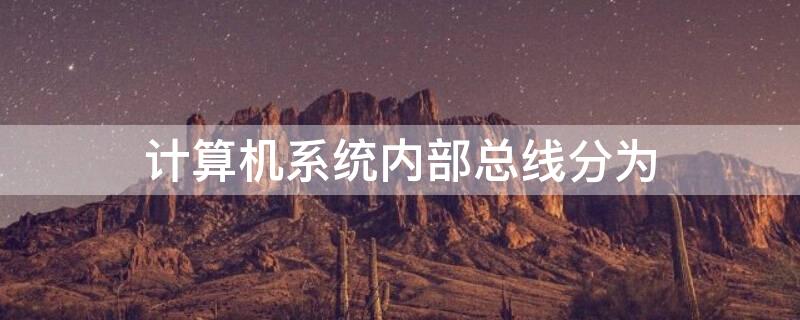 计算机系统内部总线分为 计算机系统内部总线分为哪两种