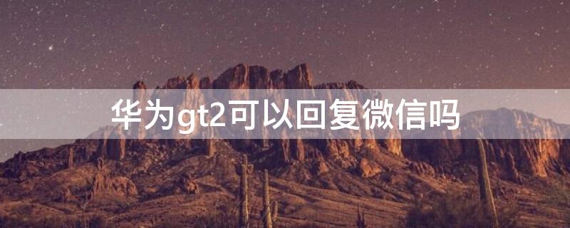 华为gt2可以回复微信吗（华为gt2e可以回微信吗）