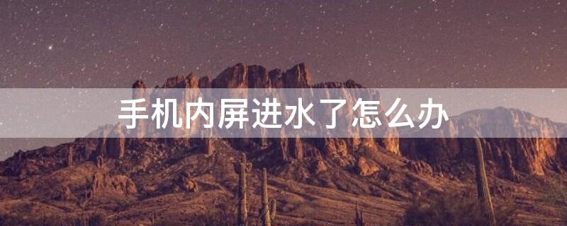 手机内屏进水了怎么办（手机屏幕漏液怎么办）