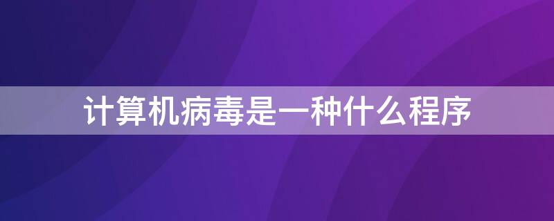 计算机病毒是一种什么程序 计算机病毒是一种程序?