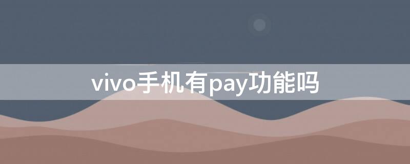 vivo手机有pay功能吗