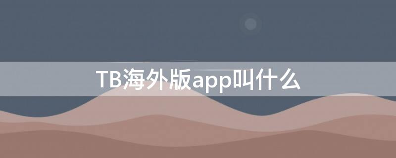 TB海外版app叫什么