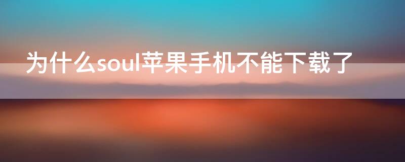 为什么souliPhone手机不能下载了 为什么soul下载了用不了了