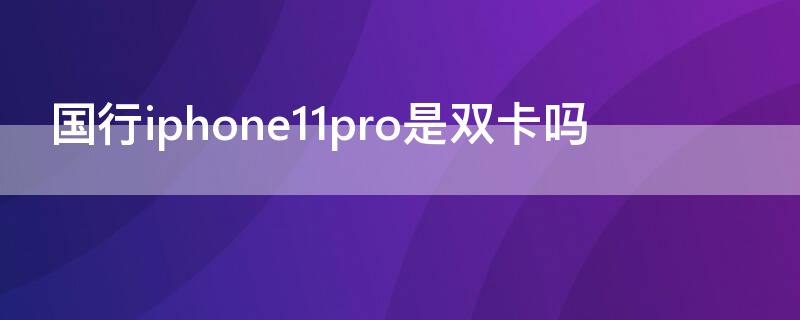 国行iPhone11pro是双卡吗（iphone11pro国行支持双卡吗）