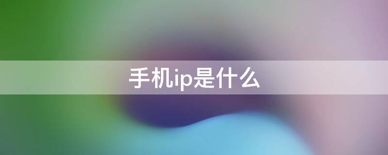 手机ip是什么（手机IP什么意思）