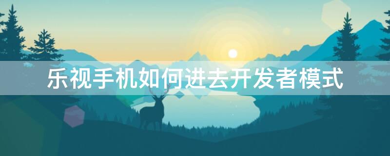 乐视手机如何进去开发者模式（乐视手机的开发者选项在哪里）