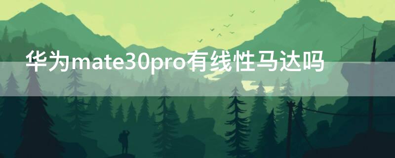 华为mate30pro有线性马达吗 mate30pro的马达是线性马达吗