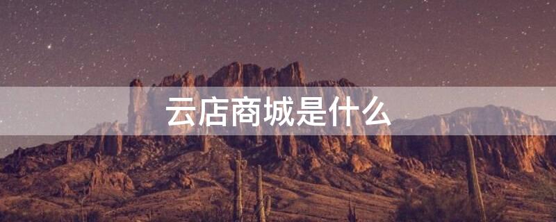 云店商城是什么 云商店是什么东西
