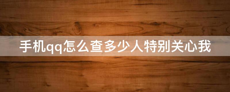 手机qq怎么查多少人特别关心我（手机qq如何查询特别关心我的人数）
