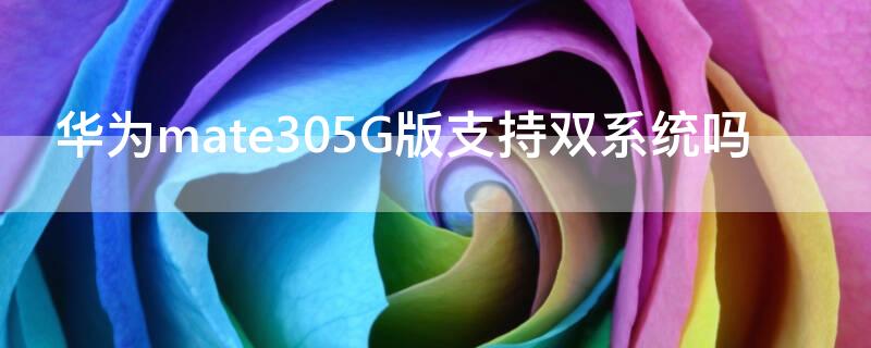 华为mate305G版支持双系统吗 华为mate304g版是双系统吗
