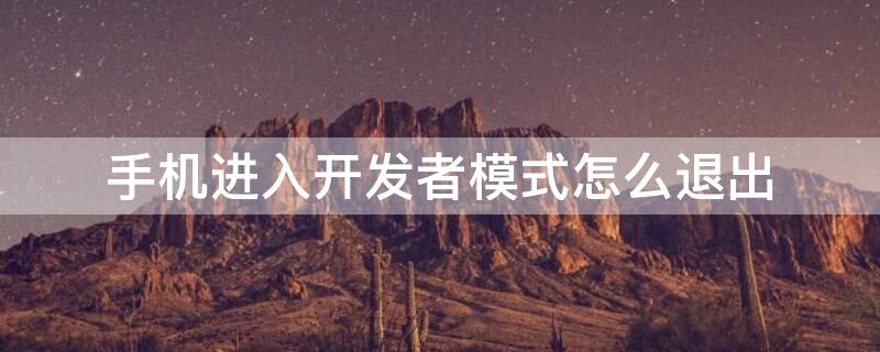 手机进入开发者模式怎么退出 oppo手机进入开发者模式怎么退出