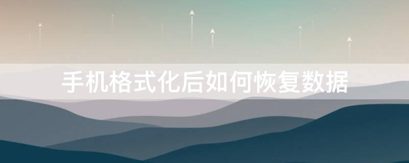 手机格式化后如何恢复数据（手机格式化后如何恢复数据恢复软件）