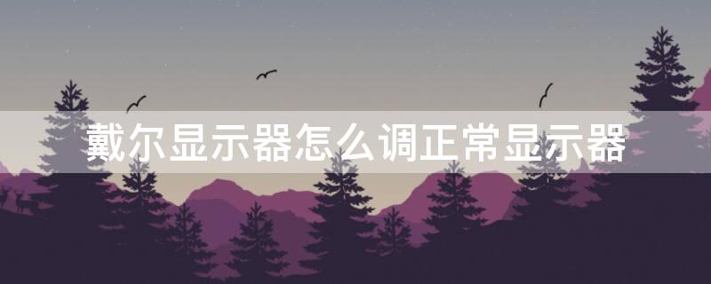 戴尔显示器怎么调正常显示器（戴尔显示器怎么调节）
