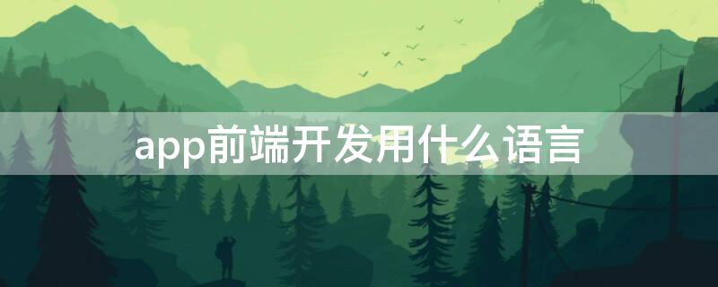 app前端开发用什么语言 app后端开发语言