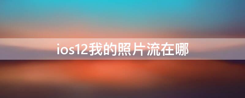 ios12我的照片流在哪（ios12照片流在哪里）